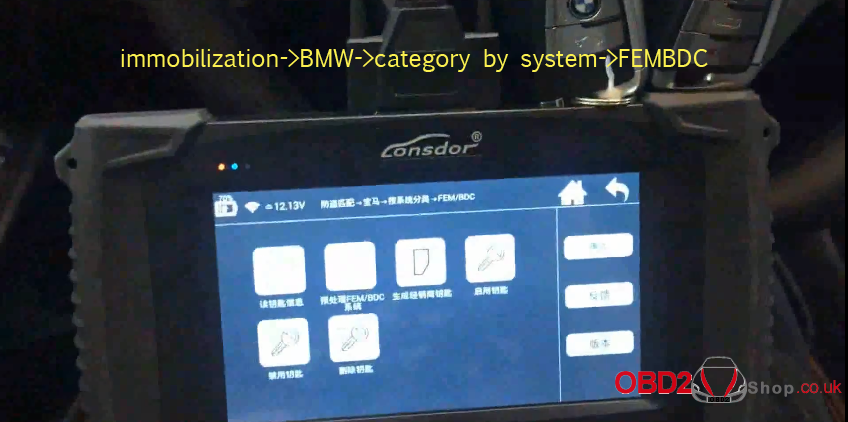 immobilization-BMW-category by system-FEMBDC(1)