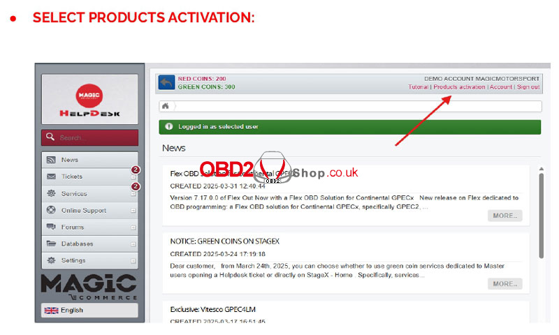 how-to-activate-magic-motorsport-flex-ecu-tool-software-(3)